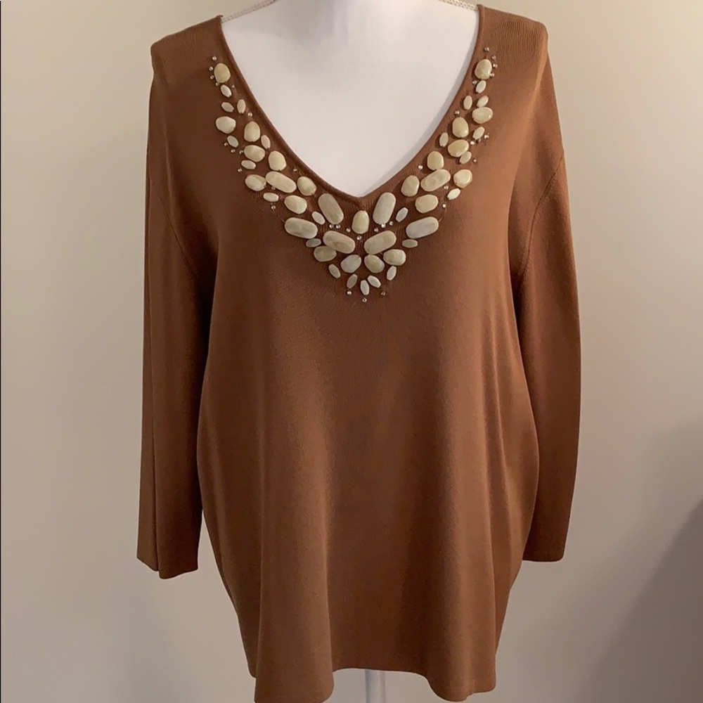 Joseph A Brown Embellished V-Neck Sweater 1X